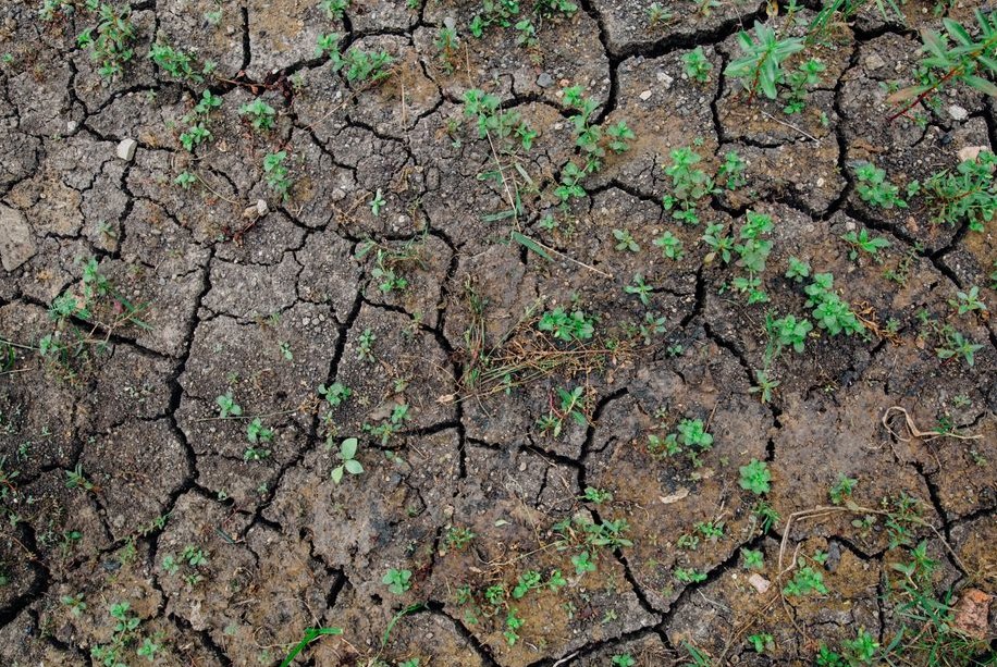 Soil Aeration in Lutz